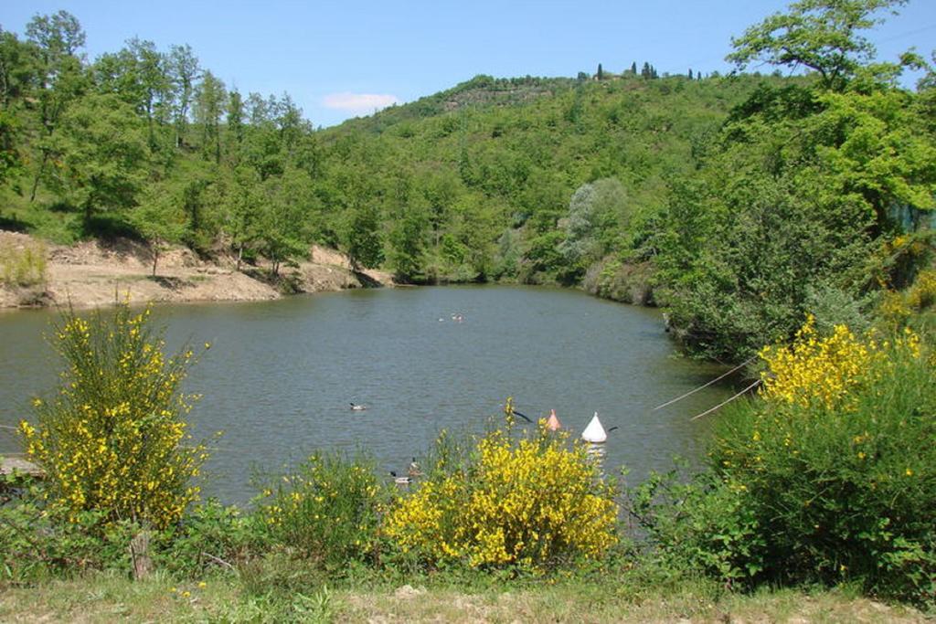 Casa Vacanza Le Corniole Чивітелла-ін-Валь-ді-К'яна Екстер'єр фото