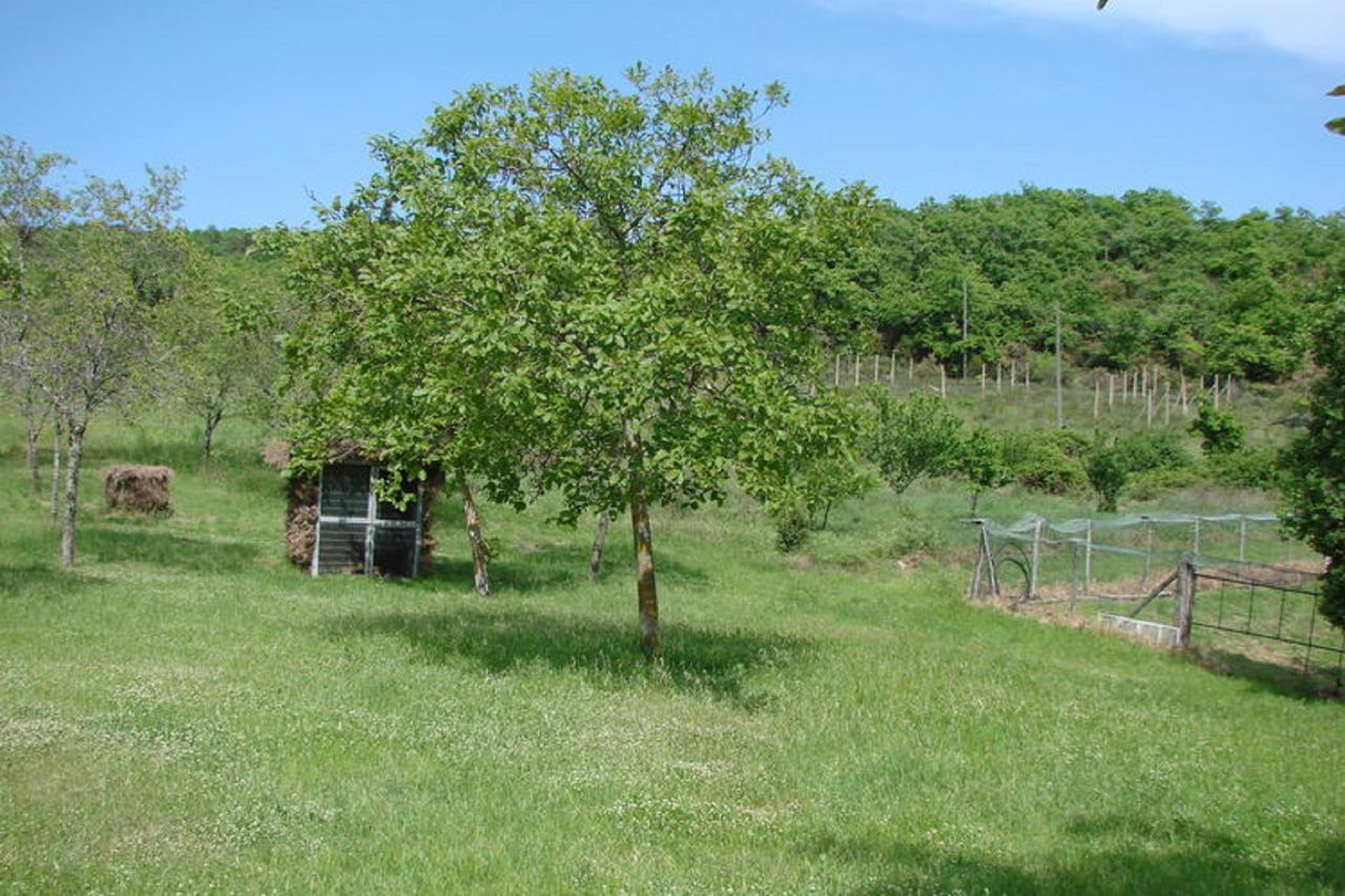 Casa Vacanza Le Corniole Чивітелла-ін-Валь-ді-К'яна Екстер'єр фото